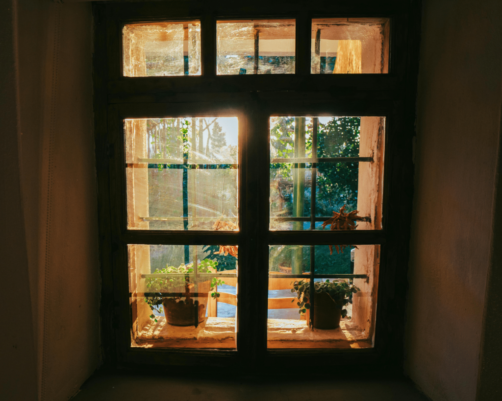 Mental Health Ofrenda: How Empathy Can Be Window Into Comunidad  