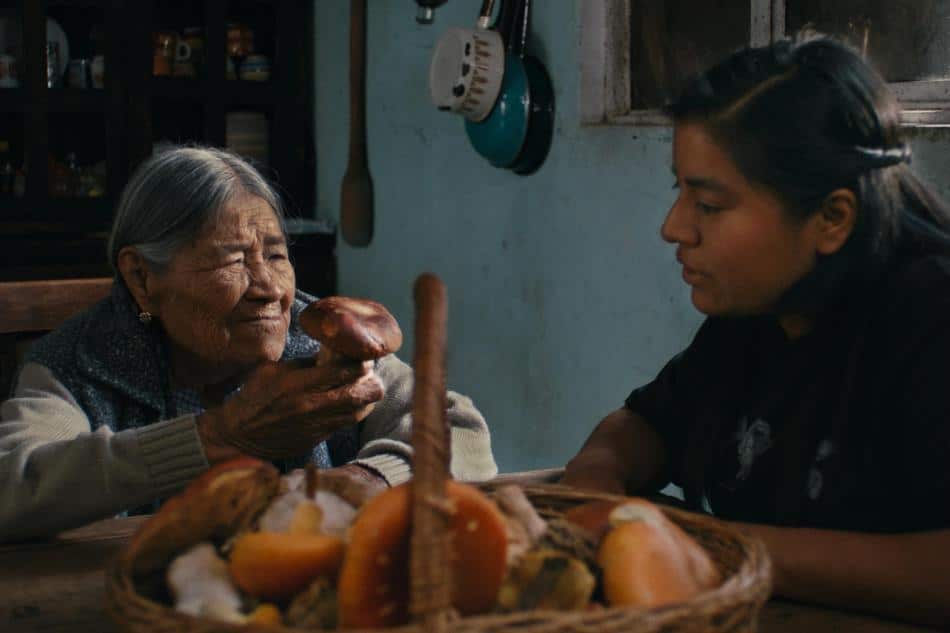 Cultura to Watch at SXSW 2026